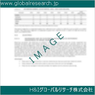 グローバルリサーチ調査資料のイメージ